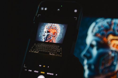 aidin-geranrekab-bV_P23FXxhI-unsplash